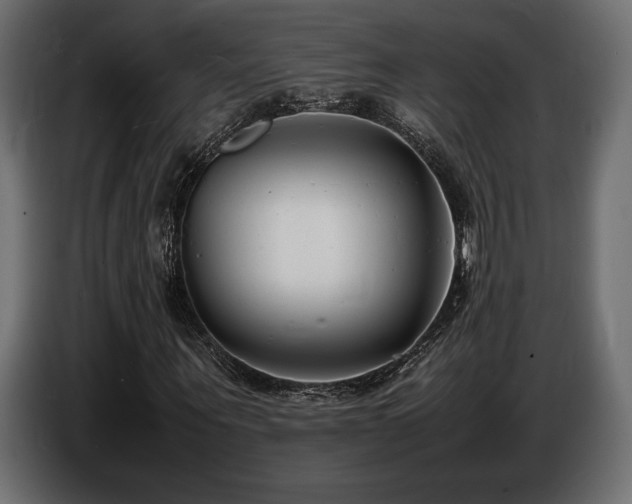 X0000086720867200704131042