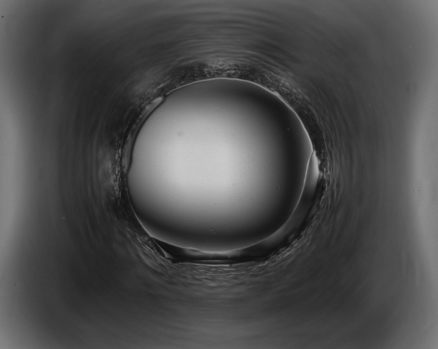 X0000086720868200704131042