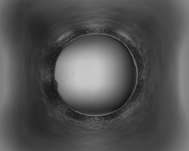 X0000086720869200704131042