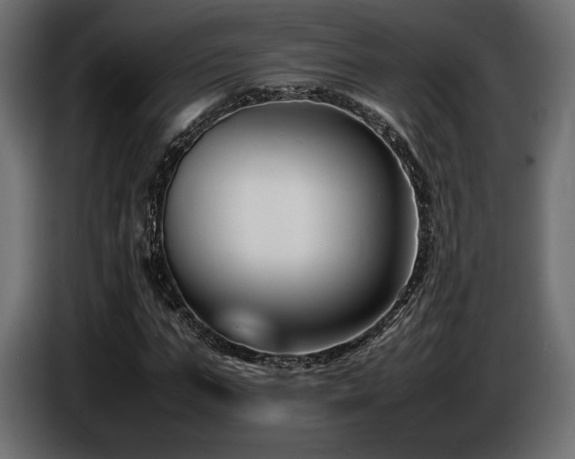 X0000086720871200704131042