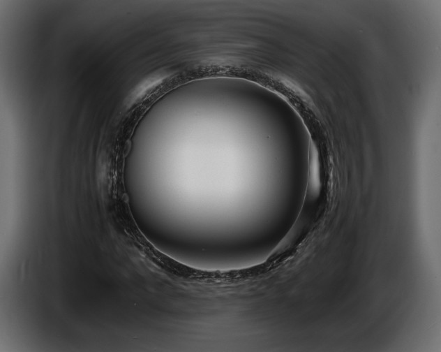 X0000086720872200704131042