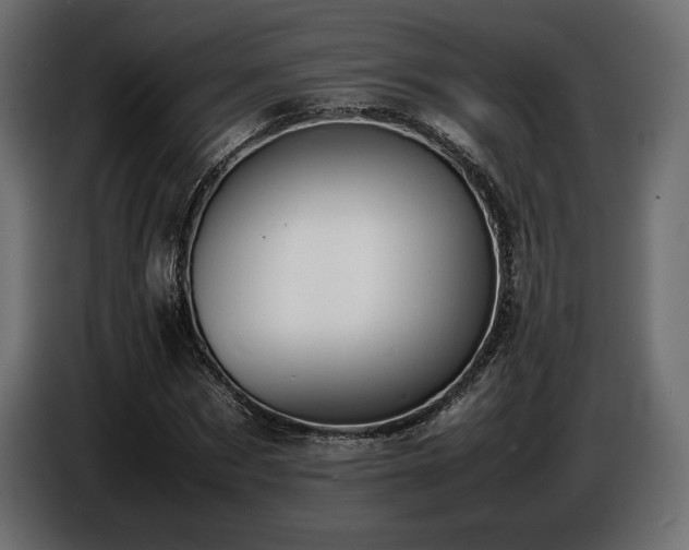 X0000086720873200704131042