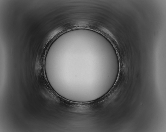 X0000086720874200704131042