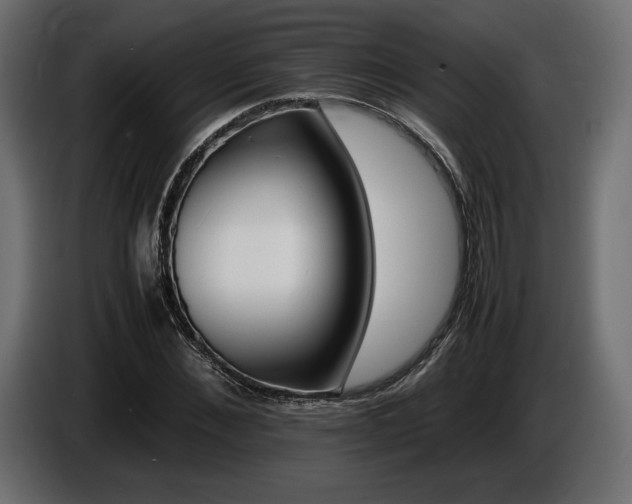 X0000086720876200704131042