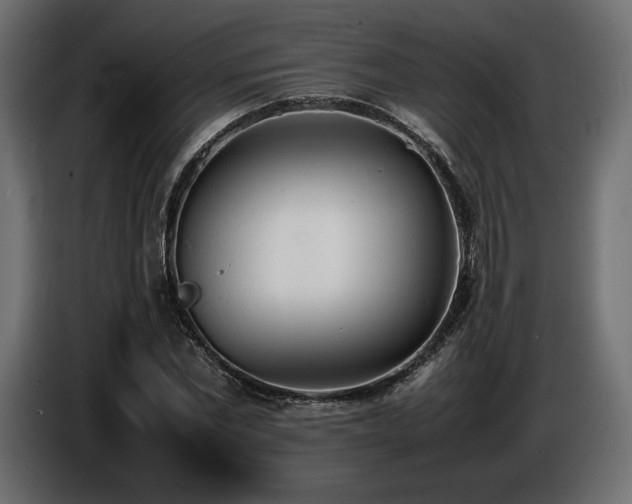 X0000086720877200704131042