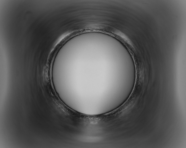 X0000086720878200704131042