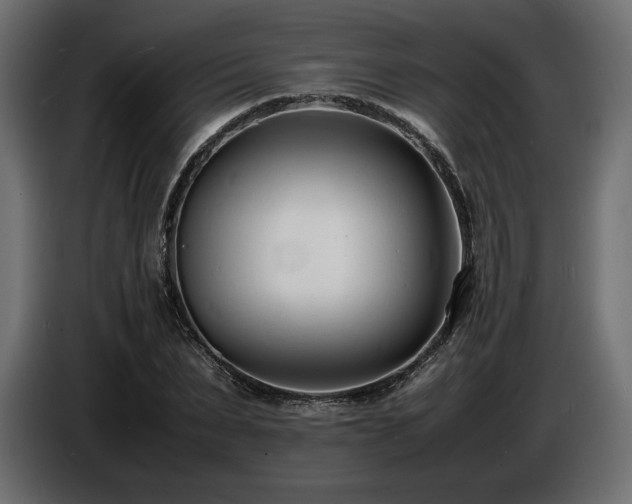 X0000086720879200704131042