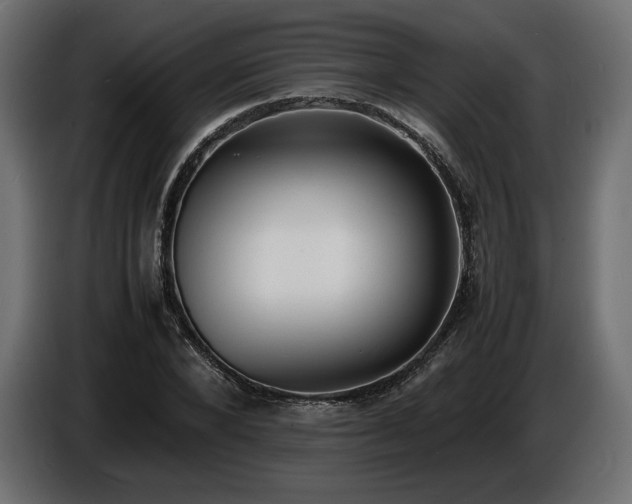 X0000086720880200704131042