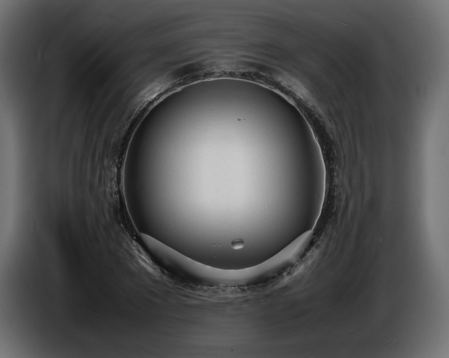 X0000086720881200704131042