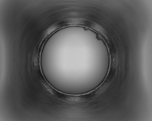 X0000086720882200704131042