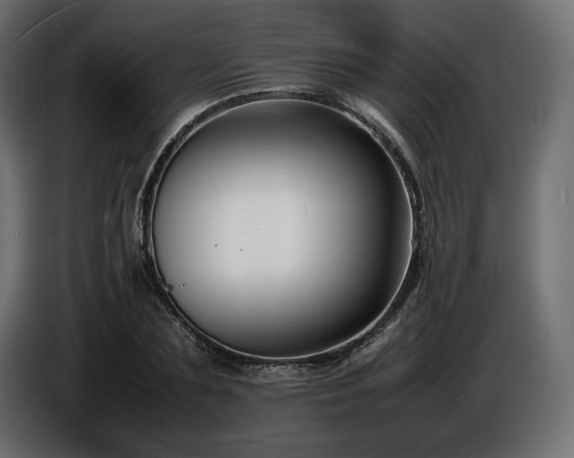 X0000086720883200704131042