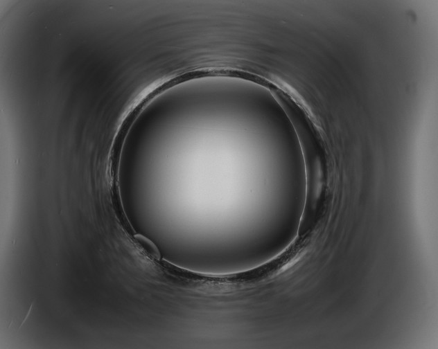 X0000086720885200704131042