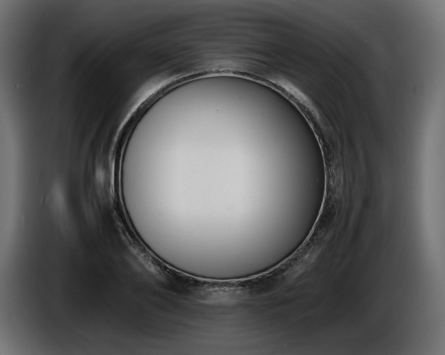 X0000086720886200704131042