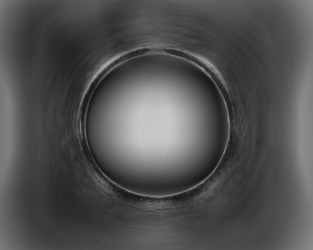 X0000086720887200704131042