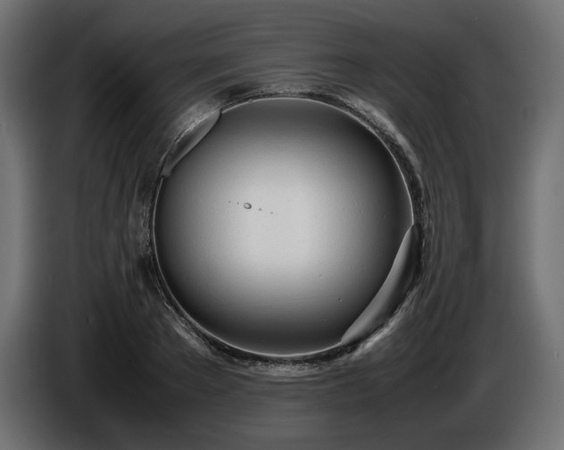 X0000086720889200704131042