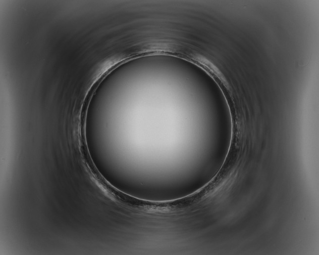 X0000086720890200704131042