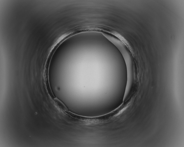 X0000086720893200704131041