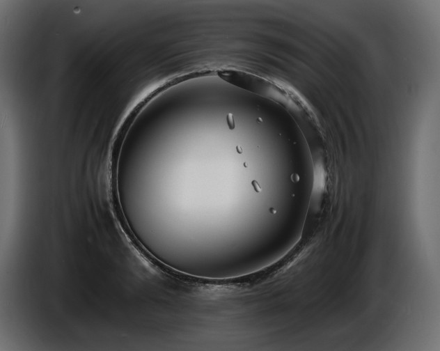 X0000086720894200704131041