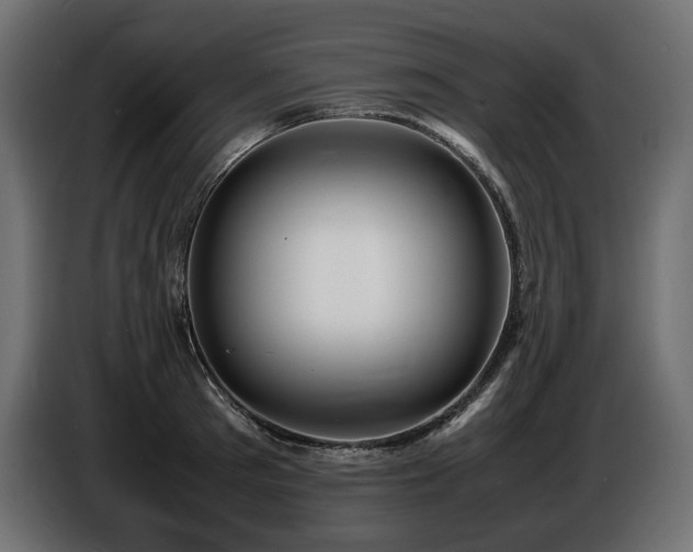 X0000086720897200704131041
