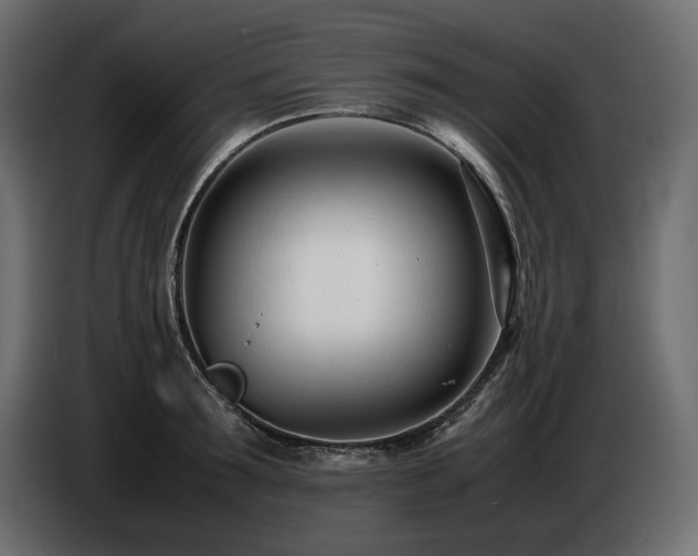 X0000086720899200704131041