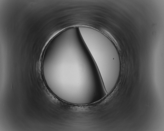 X0000086720900200704131041