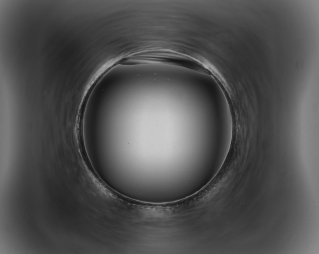 X0000086720901200704131041