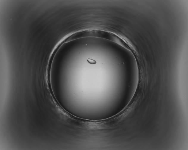 X0000086720904200704131041