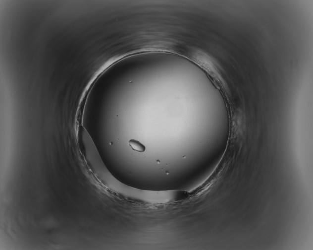 X0000086720908200704131041