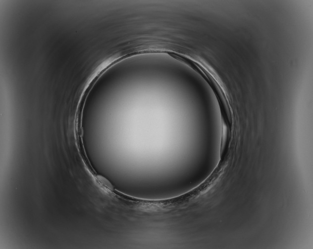X0000086720909200704131041