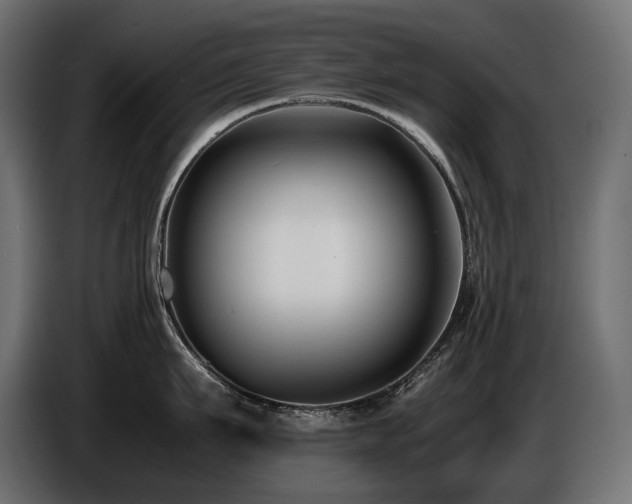 X0000086720911200704131041