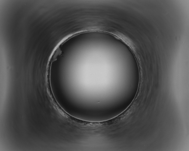 X0000086720912200704131041