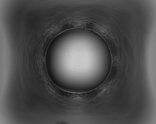 X0000086720913200704131040