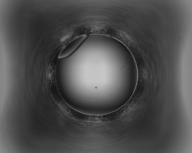 X0000086720914200704131040
