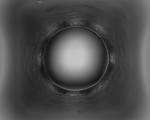 X0000086720915200704131040