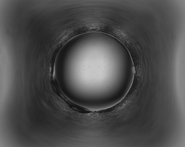 X0000086720916200704131040