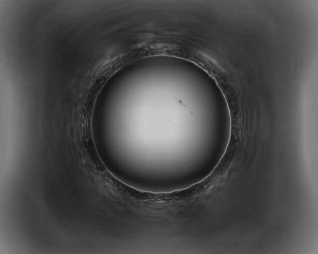 X0000086720917200704131040
