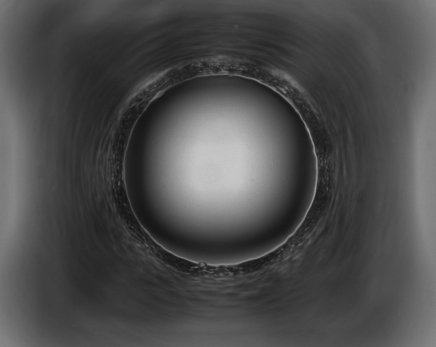 X0000086720919200704131040