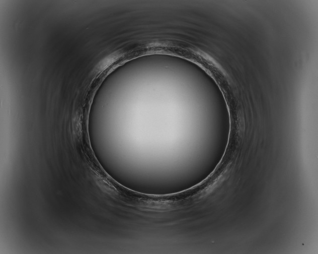 X0000086720921200704131040