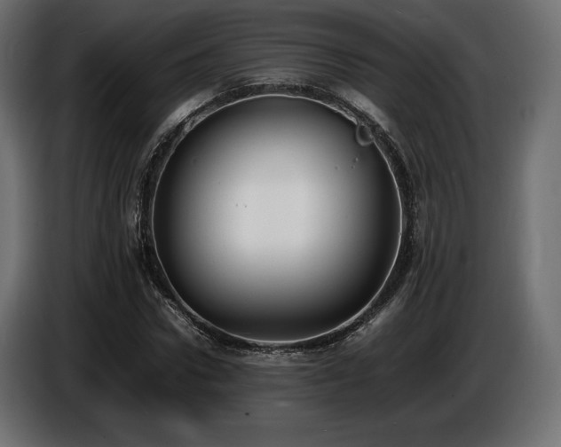 X0000086720922200704131040