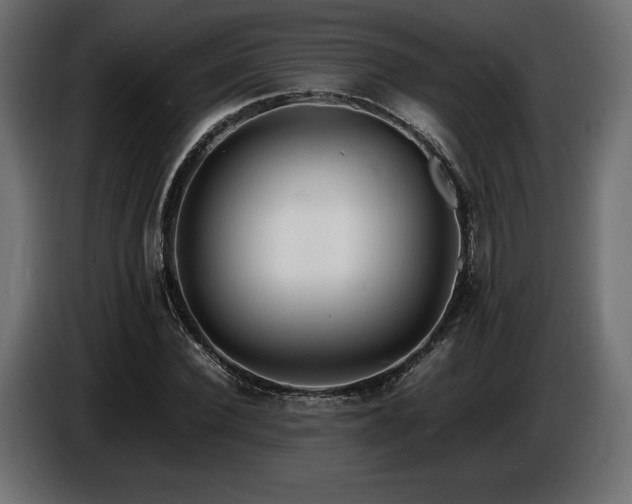 X0000086720924200704131040