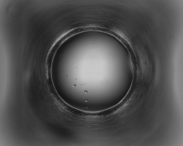 X0000086720925200704131041