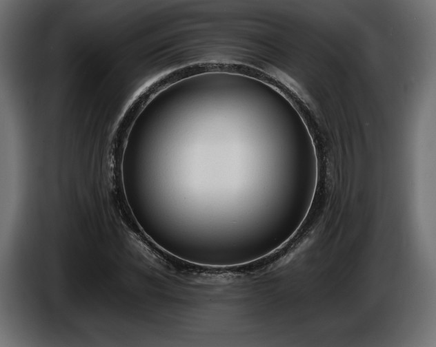 X0000086720926200704131041