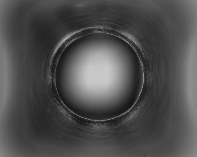 X0000086720927200704131041
