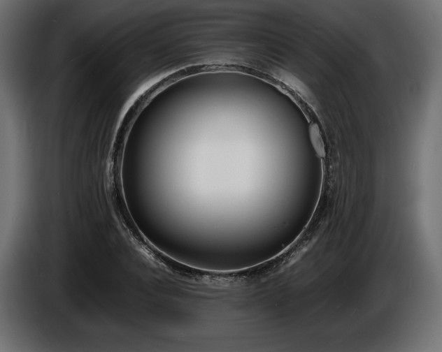 X0000086720928200704131041