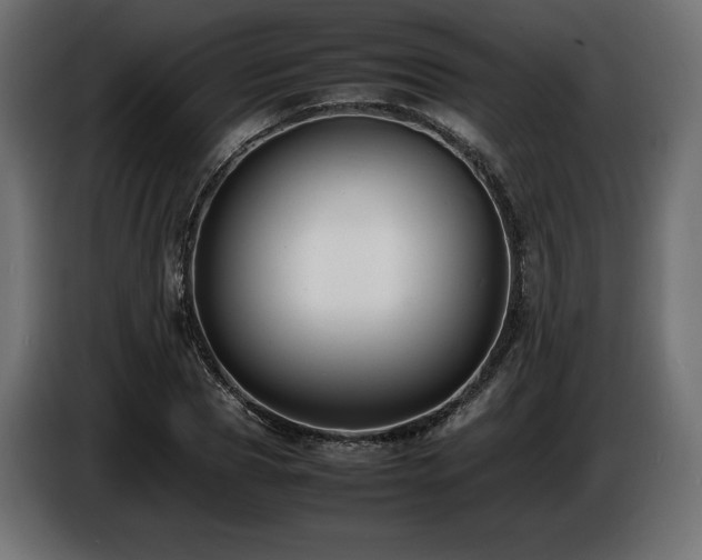 X0000086720929200704131041