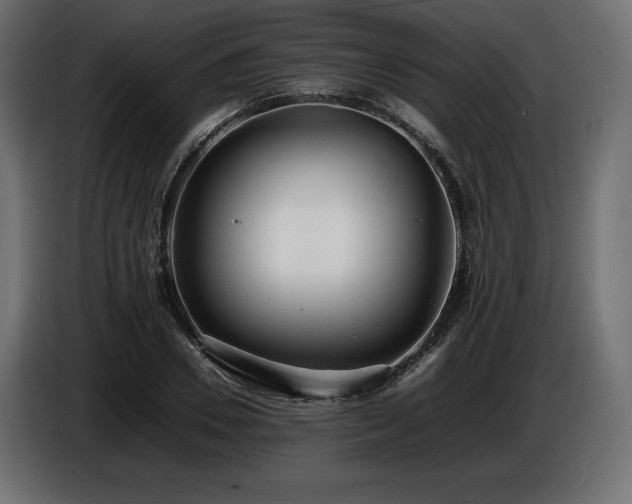 X0000086720930200704131041