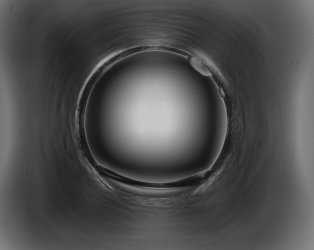 X0000086720932200704131041