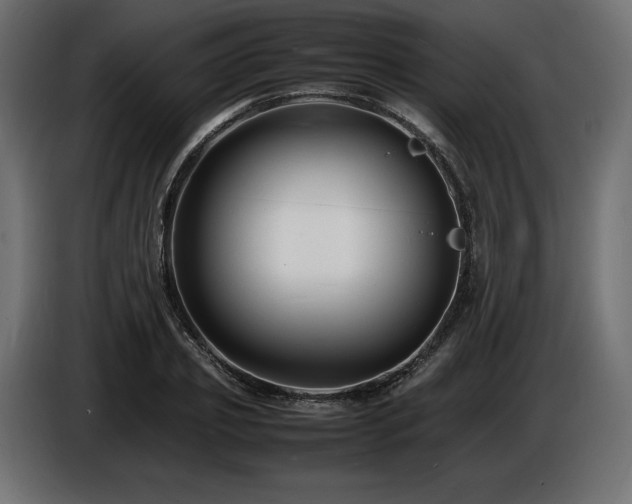 X0000086720933200704131041