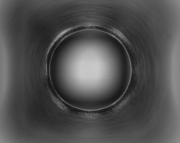 X0000086720934200704131041