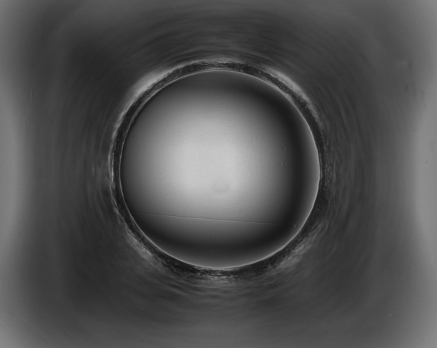 X0000086720935200704131041